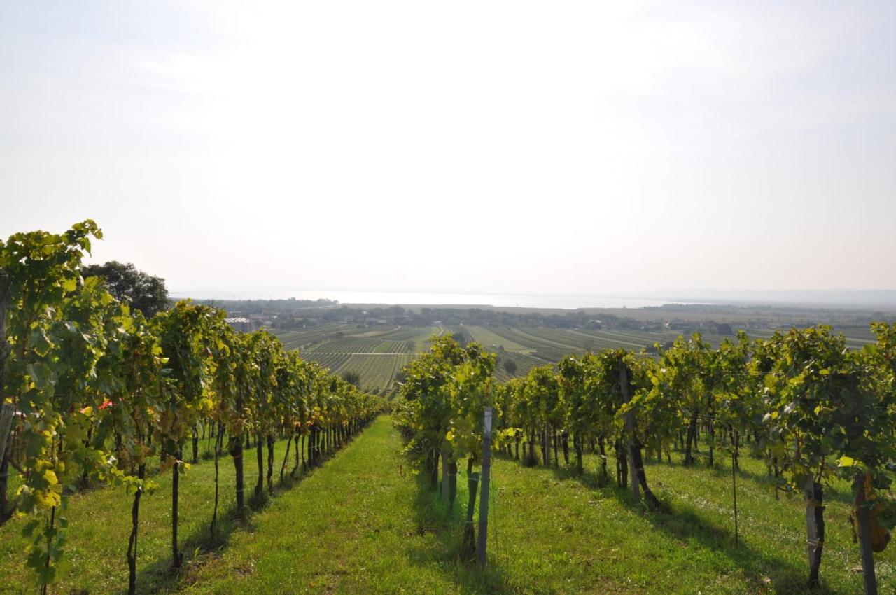 Weingut Guttmann - Schwalbennester * Weiden am See