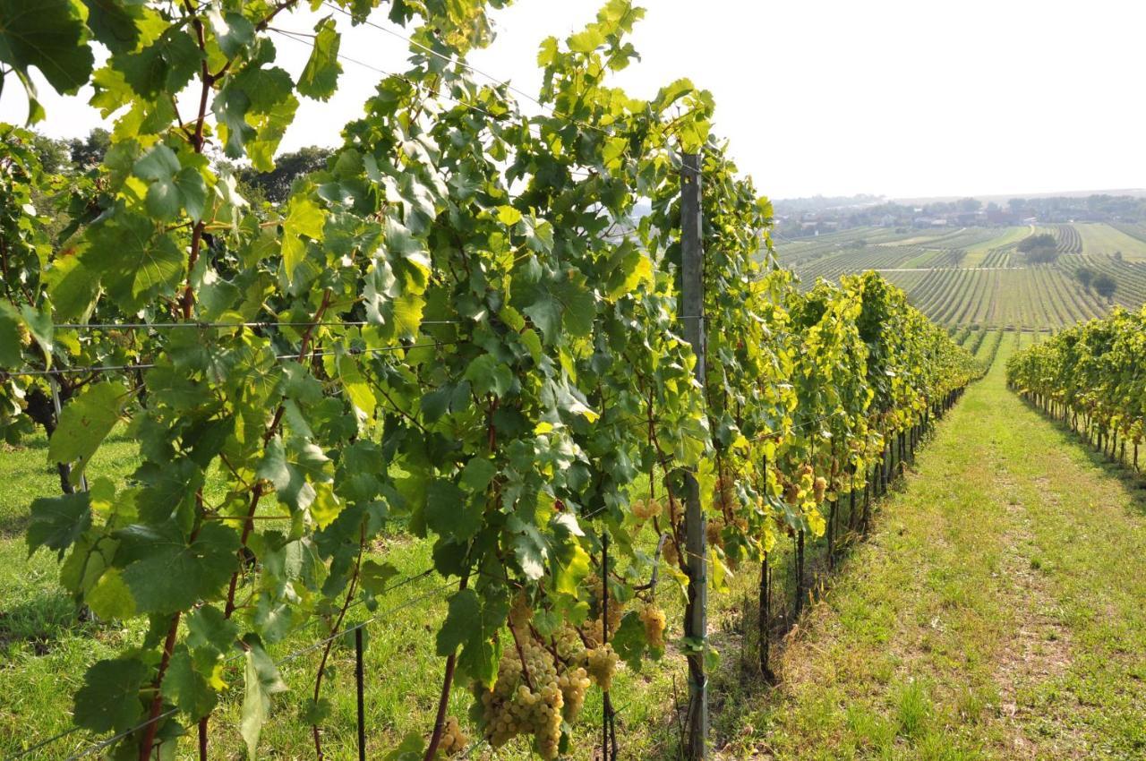 Apartment Weingut Guttmann - Schwalbennester Weiden am See